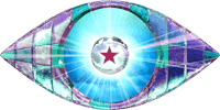 Celebrity Big Brother 11 logo