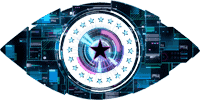 Celebrity Big Brother 14 logo
